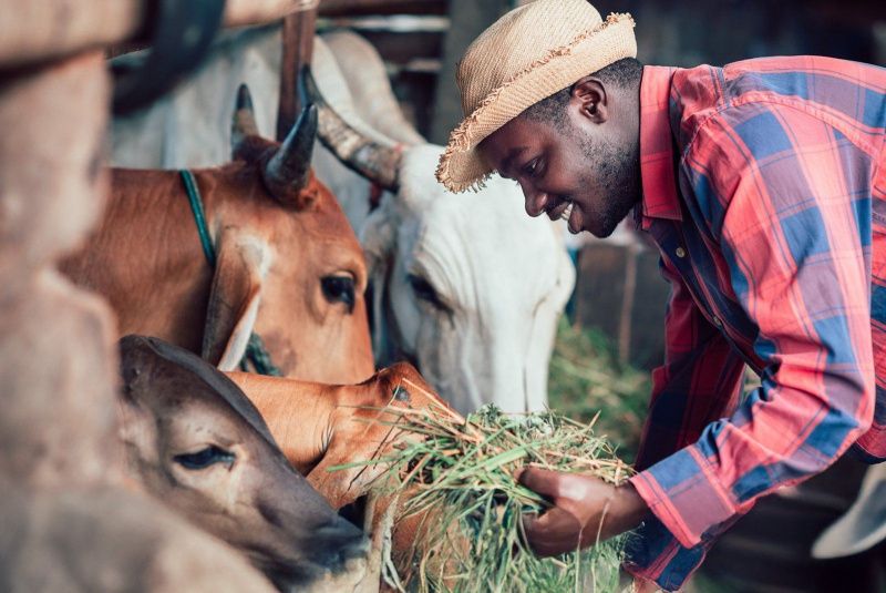 SADC expands animal-health programme for dairy trade