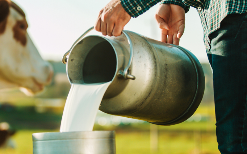 Bihar's Dairy Initiatives Aim to Boost Rural Employment and Income