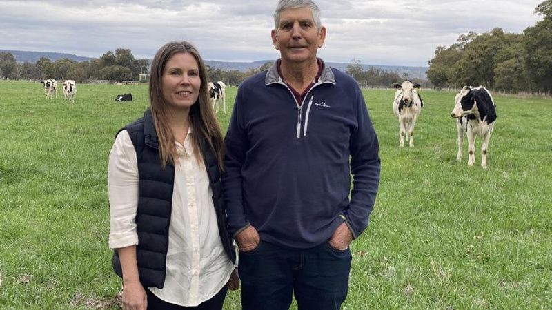 Shade River Dairy, tam maliyet görünürlüğü sayesinde operasyonlarını dönüştürdü