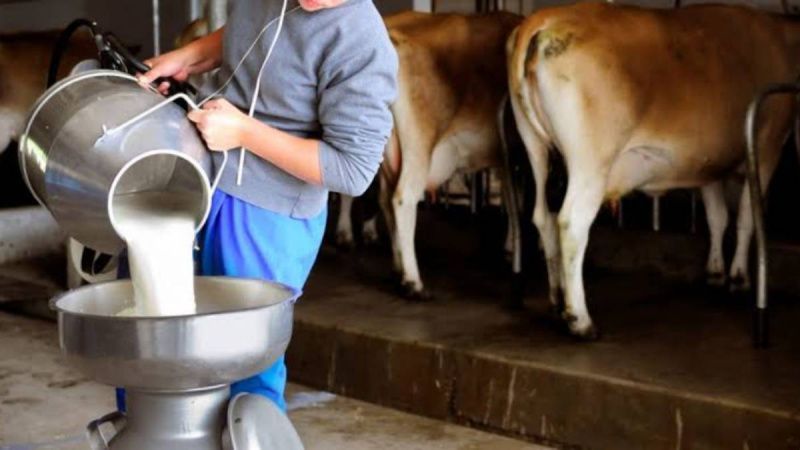 Ahome Farmers and Liconsa Formalise La Despensa Milk-Centre Agreement