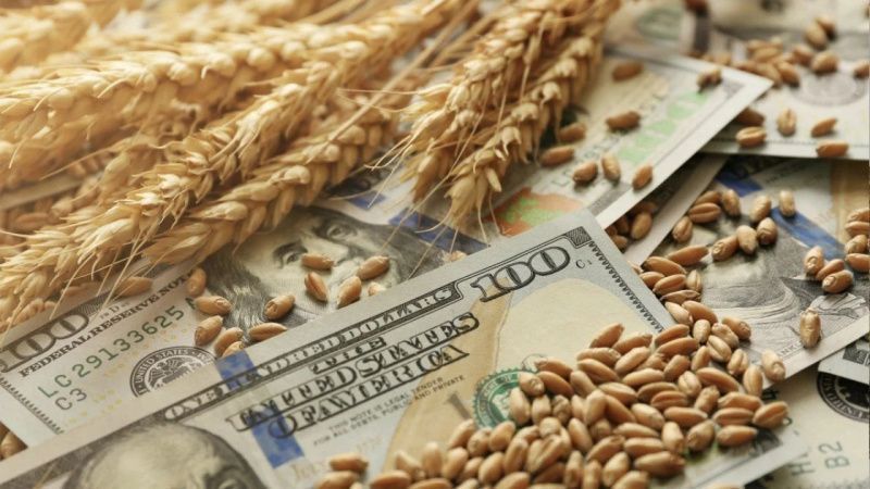 Análisis revela sesgo a largo plazo en la distribución de subsidios agrícolas en EE.UU.