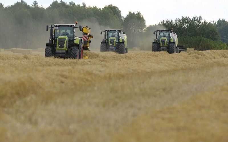 Кыргызстан обеспечил 93% плана по заготовке кормов, но отстает от прошлогодних показателей из-за засухи