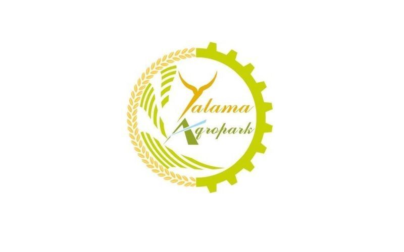 Yalama Agropark LLC sets milk production record in Azerbaijan