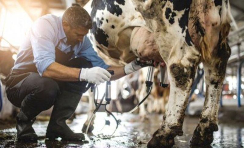 Nestlé Fortalece Colaboración con Productores Lácteos en Brasil