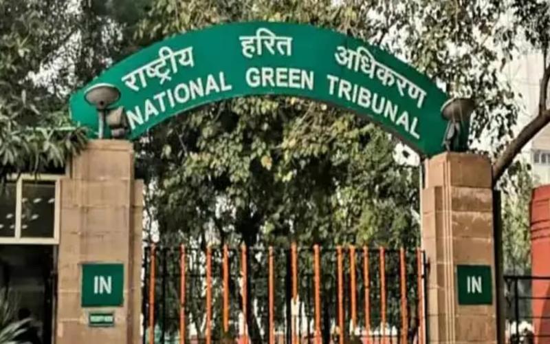 National Green Tribunal Addresses Compliance Issues Over Illegal Dairy Farms