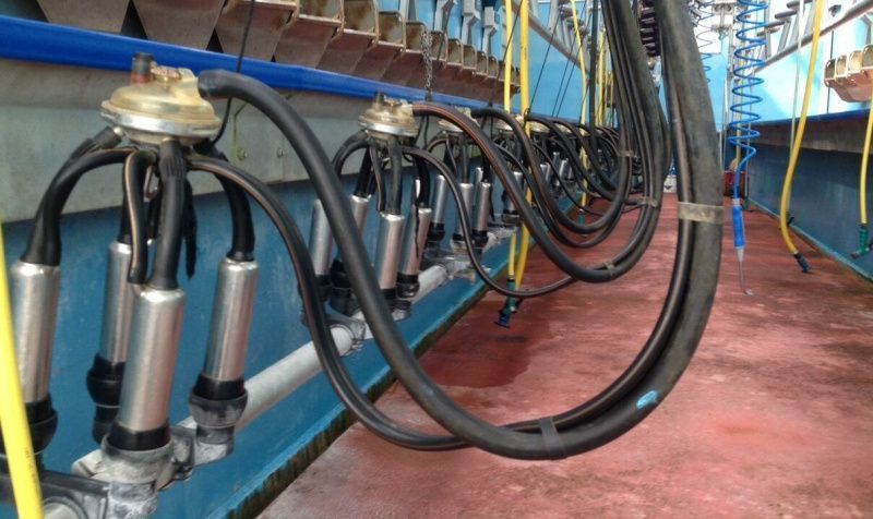 Ornua raised its August purchase price index slightly