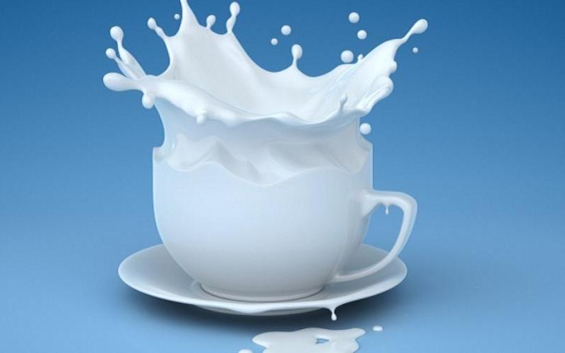 Global Dairy Market Update: Mixed Signals in July 2025