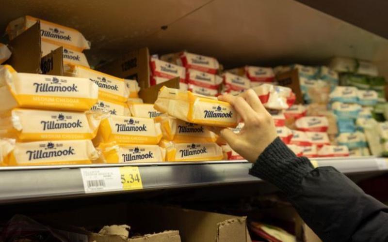 US Cheese Investments Set to Yield Returns by 2026, According to Rabobank