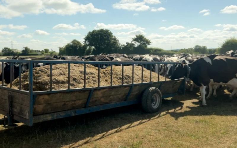 Drought Crisis: MPs Hear Dairy Farmers’ Plight
