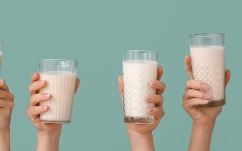 Synergy Flavours Unveils Taste Modulation for High-Protein Dairy Products