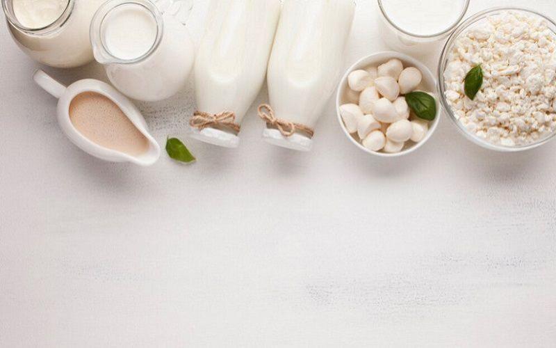 EU Milk Production Sees Modest Growth Amid Environmental and Cost Challenges