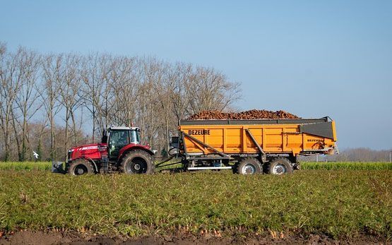 129 гектаров заброшенных сельхозземель изъяли в Кызылординской области 129 гектаров заброшенных сельхозземель изъяли в Кызылординской области