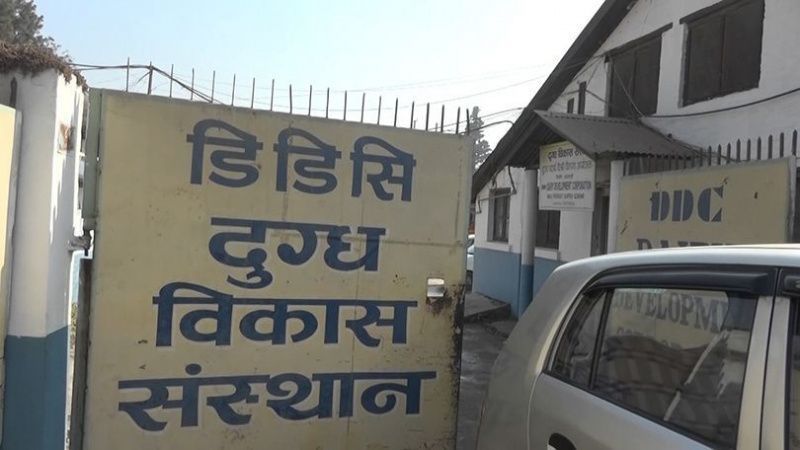 Nepal Dairy Corporation Increases Payments to Farmers Amid Industry Challenges