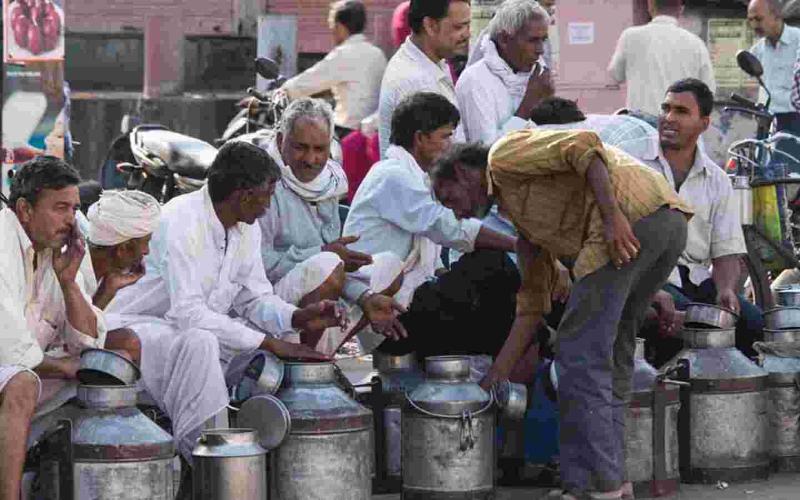 Hindistan'ın Süt Krizi: 14 Milyar Dolarlık Sektör Neden Küresel Zirveye Ulaşamıyor?