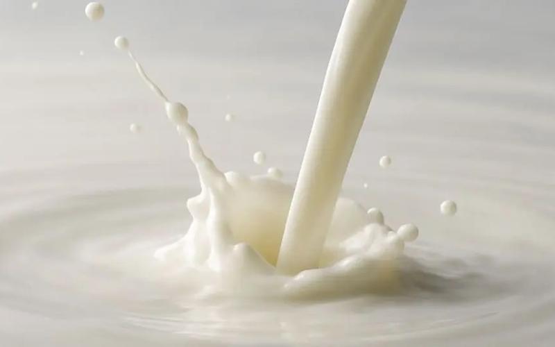 Campeche's Role in Mexico's Dairy Self-Sufficiency Ambitions