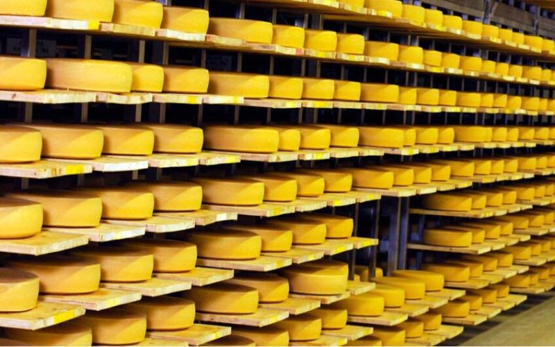 Dairy Crisis in Mexico Leads to Increased Use of Analog Cheese Products
