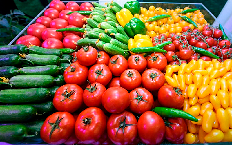 Госкомстат: за 9 месяцев произведено сельхозпродукции на 248,6 трлн сумов