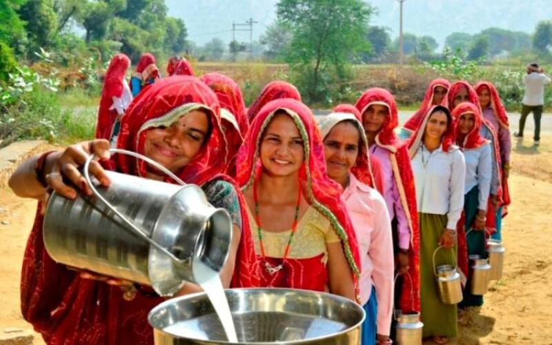 FAME's Dairy Initiative Boosts Productivity and Income for Indian Farmers