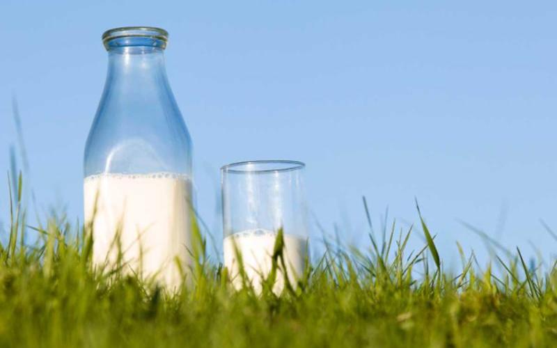 Farm Bureau Advocates for Expanded Coverage in Dairy Risk Programs