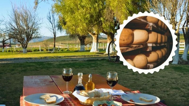 Artisanal Cheese Production Thrives in Baja California's Ojos Negros Valley