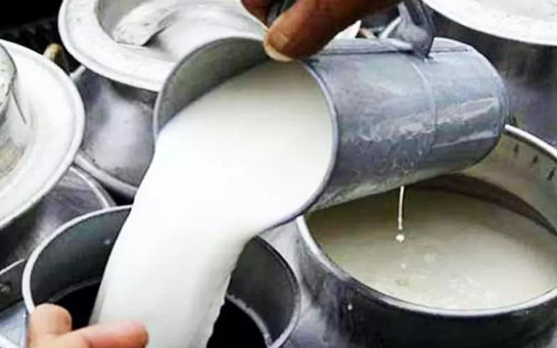 Massive Dairy Adulteration Ring Busted in India