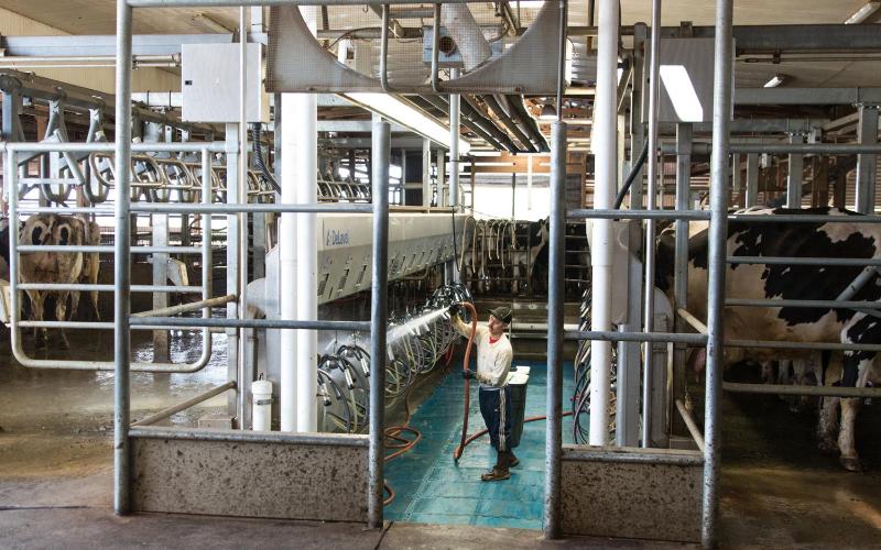 Süt Üreticilerine Su Kaynaklarını Kontaminasyon İçin Kontrol Etmeleri Uyarısı