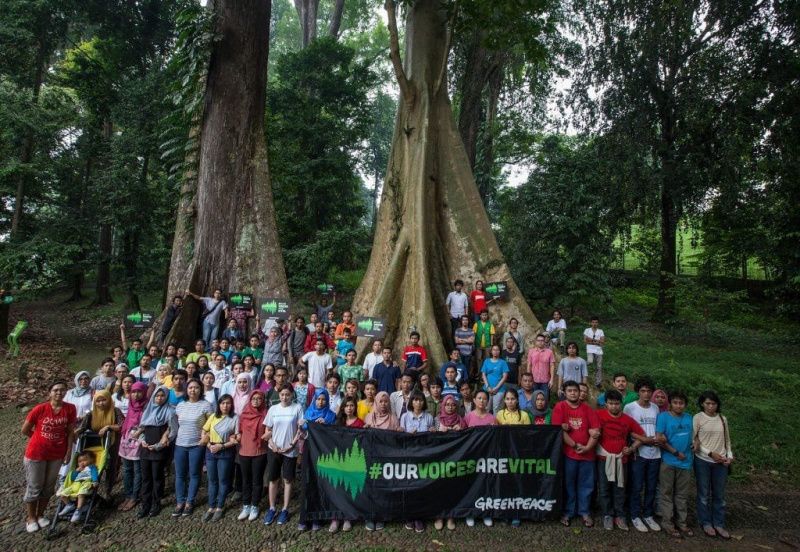 Fonterra's Palm Kernel Supply Tied to Illegal Deforestation in Indonesia, Says Greenpeace