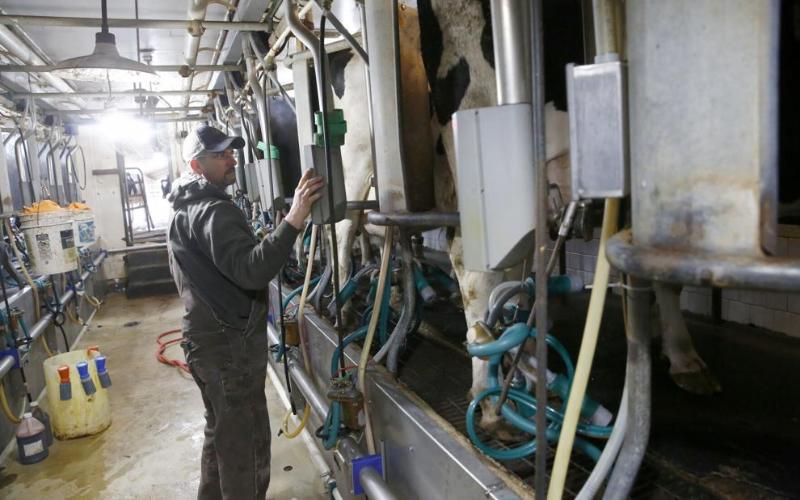 Süt Ürünleri Tesisinin 85 Milyon Dolarlık Sorunu: Belirsizlikte Bir Can Suyu