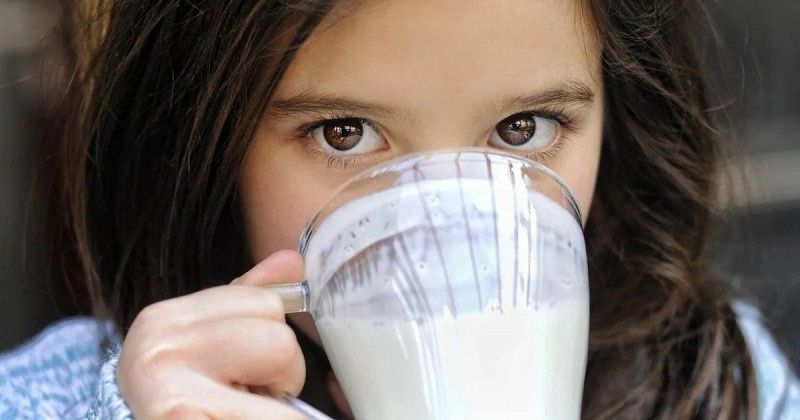 Paraná Dairy Farm Seeks to Raise Daily Output to 5,000 Litres