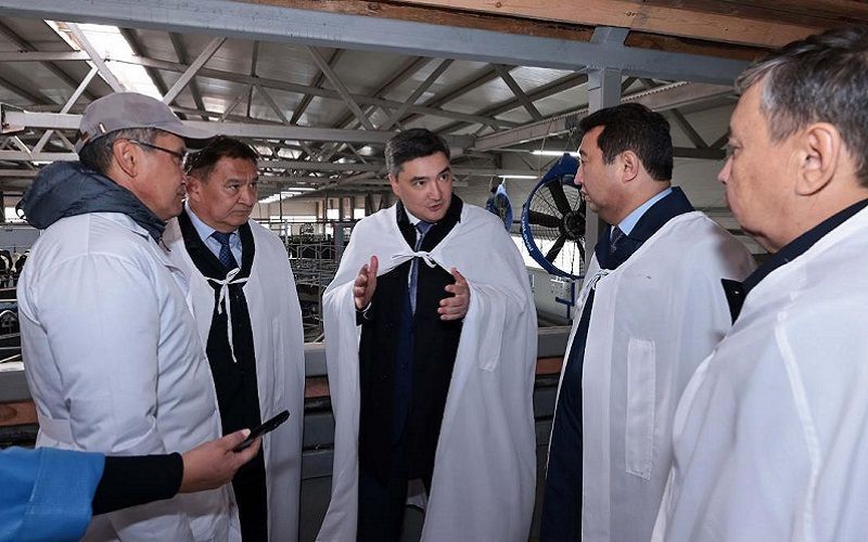 В Акмолинской области запускаются семь молочно-товарных ферм