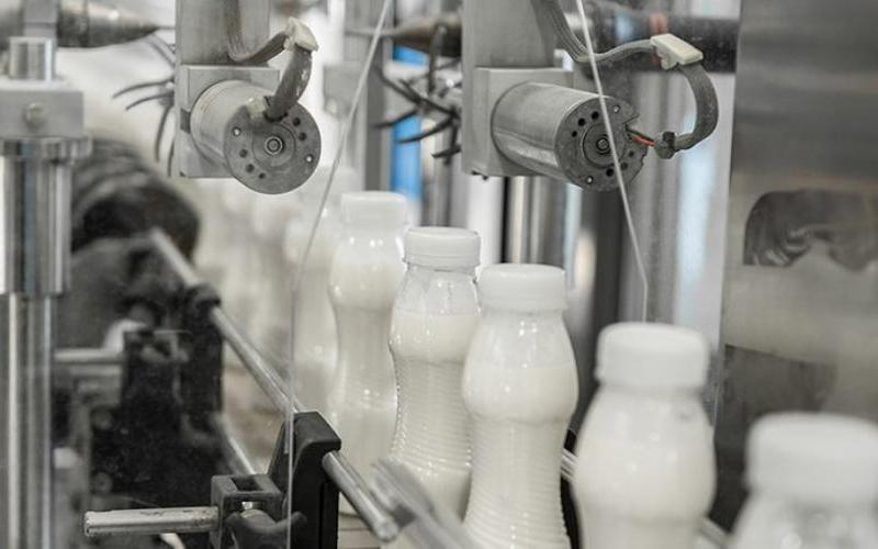 Chihuahua Strengthens Its Dairy Chain