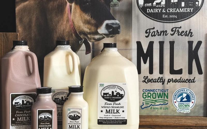 Connecticut Dairy Industry Faces Economic Challenges Amid Declining Farm Numbers