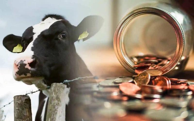 Boost Your Dairy Profits: Why Financial Skills Are Key