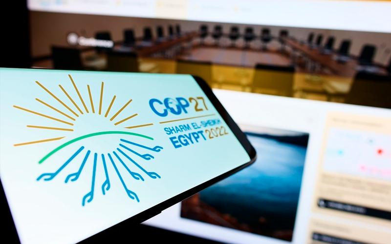 COP27: инициативы в области сельского хозяйства становятся главным приоритетом