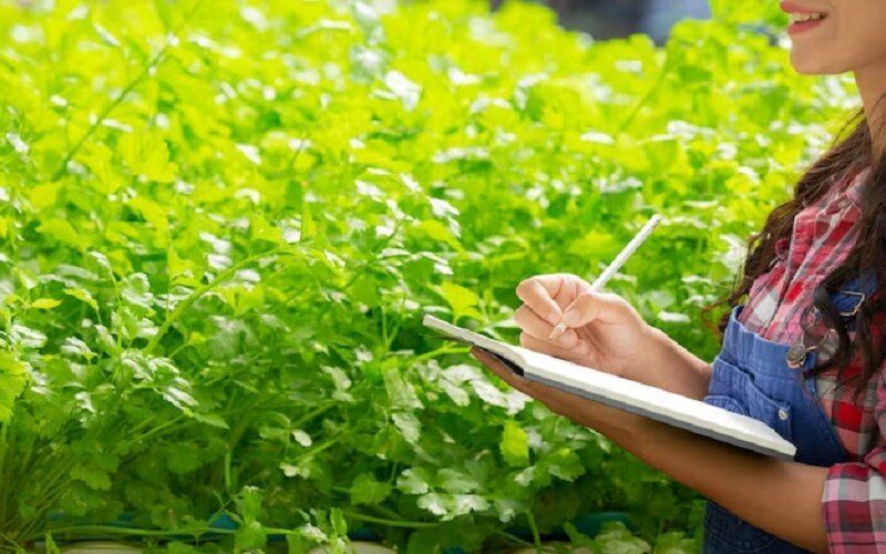 The chain of devaluation: how processors and retailers are absorbing the margins of European farmers