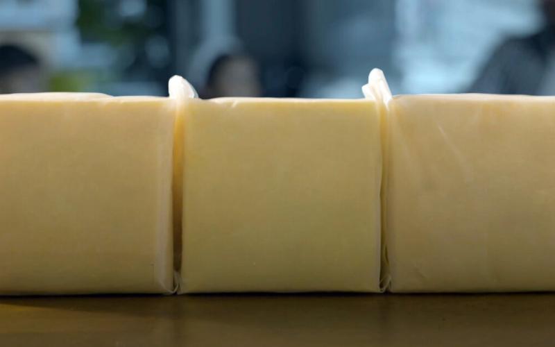 Innovative Biodegradable Materials Developed from Cheese Waste in Mexico