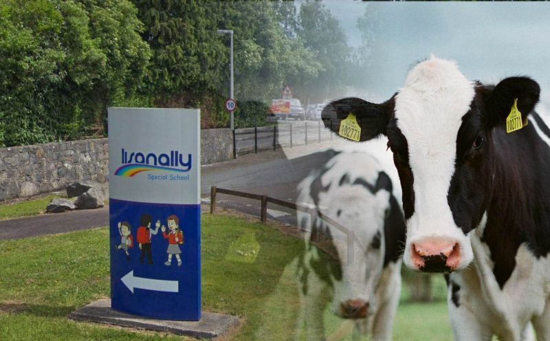 Sessiz Süt Çiftliği Etkinliği, County Armagh'da Engelli Çocuklara Destek Oluyor