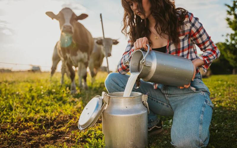 El papel de Plato Dairy en la promoción de la leche cruda y la agricultura familiar