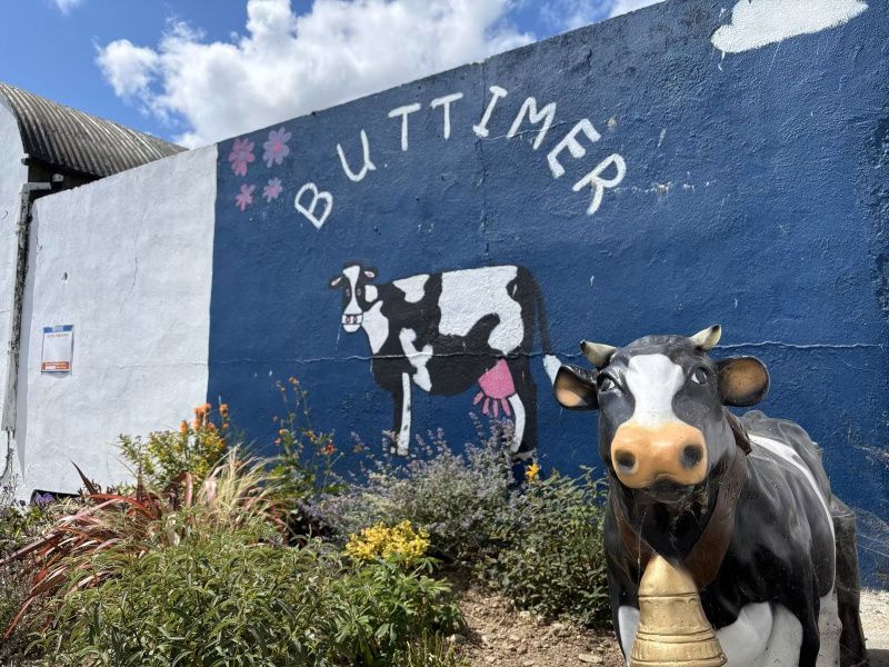 Buttimer Family's Dairy Farm Achieves Top Milk Quality in Ireland