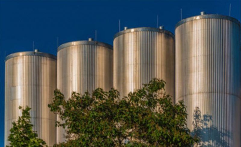 Brazilian Dairy Market Stability in 2026 Influenced by Imports and Climate