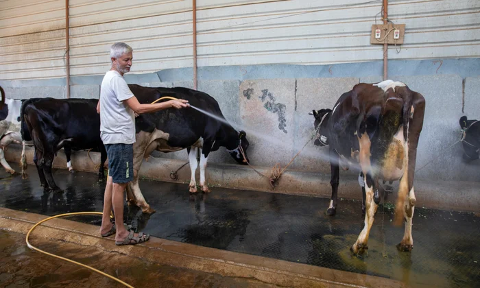 India’s ₹3.25bn cattle breeding centre is scheduled to open on October 30