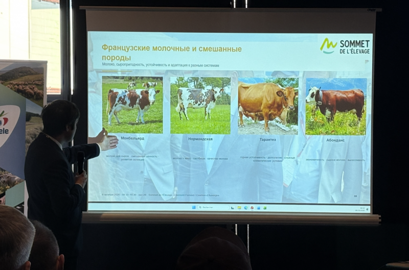 Representatives from Kazakhstan and France Discussed Cattle Breeds at Sommet de l’Élevage Representatives from Kazakhstan and France Discussed Cattle Breeds at Sommet de l’Élevage
