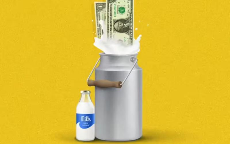 La lechería Milky Mist se prepara para una OPV de 235,9 millones de dólares con SEBI