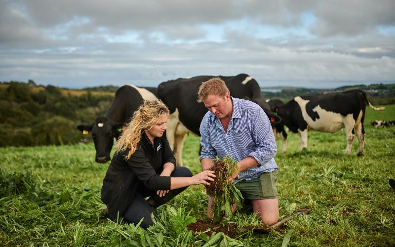 Pembrokeshire Dairy Farmers and Nestlé Collaborate on Water Conservation