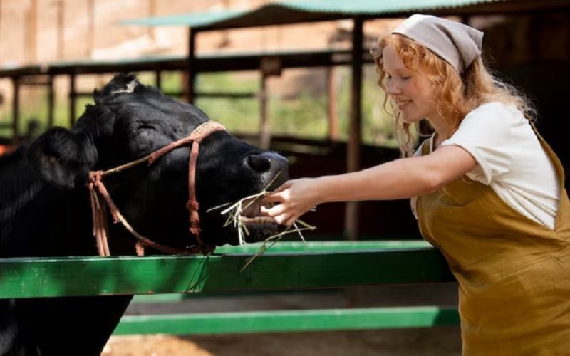 الأرجنتين تؤسس مركزًا متقدمًا للألبان الروبوتية باستثمار قدره 50 مليون دولار