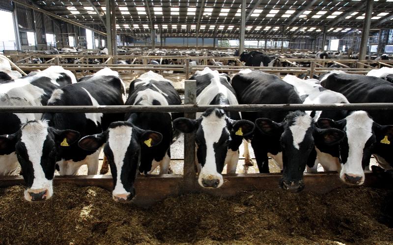 Trust in Farmers: A Pillar for the U.S. Dairy Industry's Stability