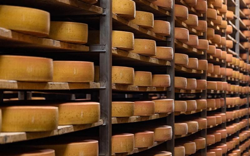 U.S. Cheese Exports Reach Historic High Driven by Global Demand
