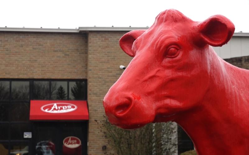 Barfresh Food Group's Strategic Acquisition of Arps Dairy