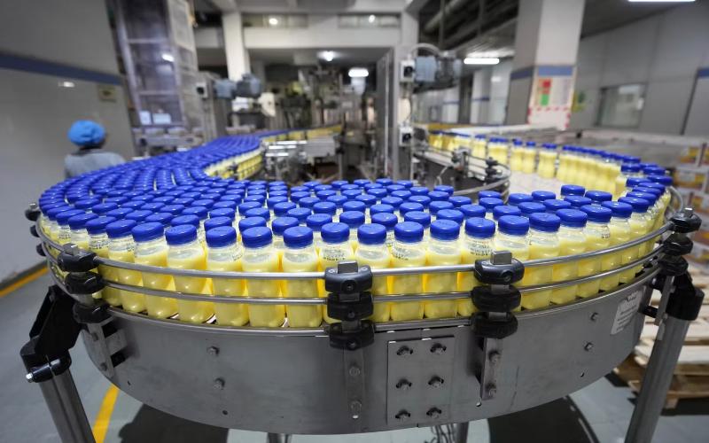 Empresa Láctea India Enfrenta Cargos en Caso de Adulteración en Medio de Represión Regulatoria