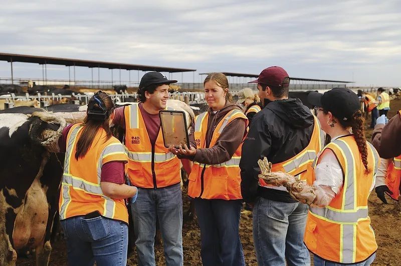 USDETC Trains Students in Large-Herd Dairy Management